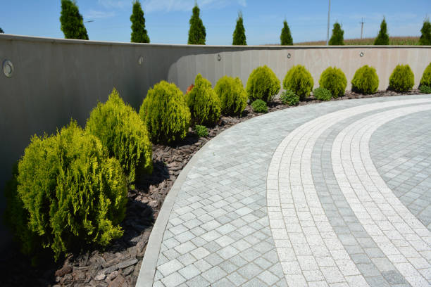 Best Concrete Paver Driveway  in Borger, TX